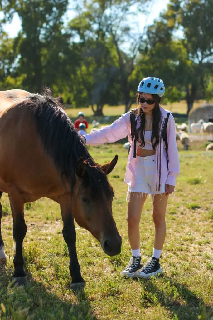 Cyclist in a bike helmet petting a horse in a green meadow with sheep grazing behind, near Rome